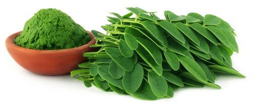 Moringa Leaf Powder, Grade : Medicine Grade