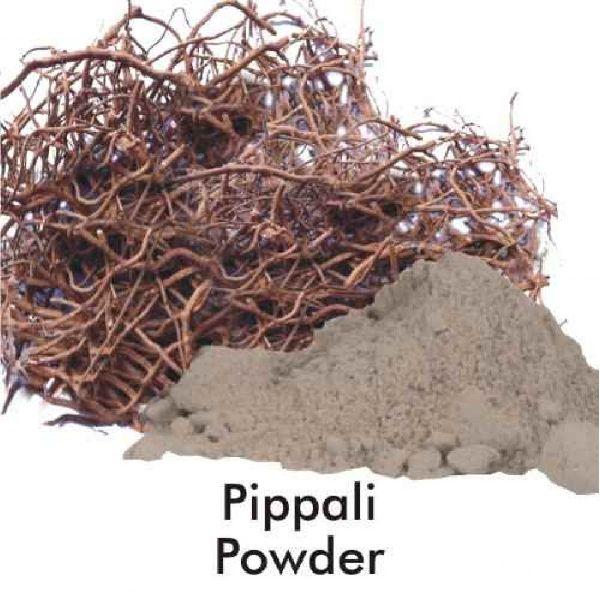 Pippali Extract