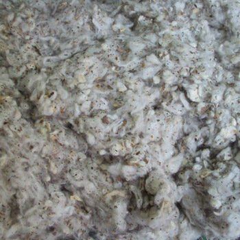 Cotton Waste Dropping