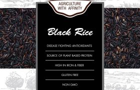 500 Gram Black Rice