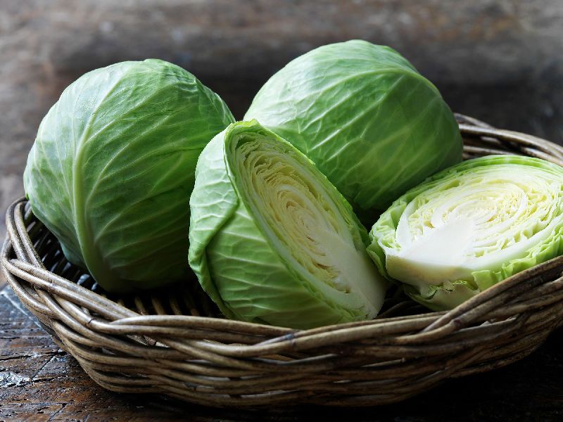 Fresh Cabbage