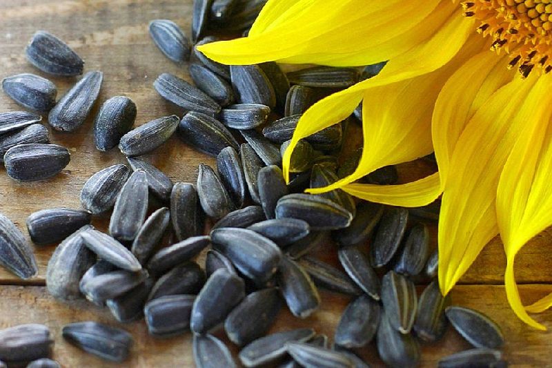 sunflower seeds