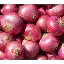 GONDWANA red onion