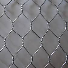 Hexagonal wire netting