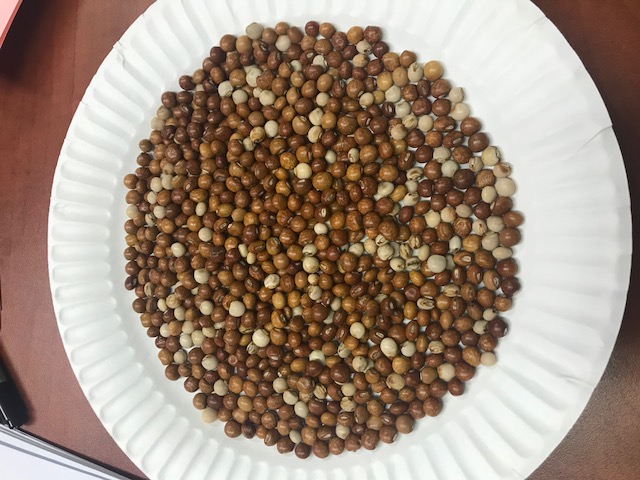 Pigeon Peas