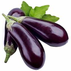 fresh brinjal