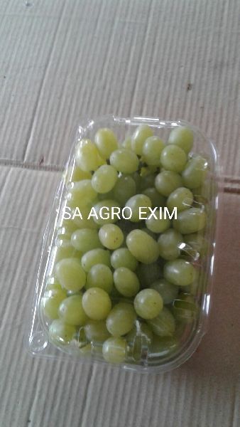 INDIAN GREEN GRAPES