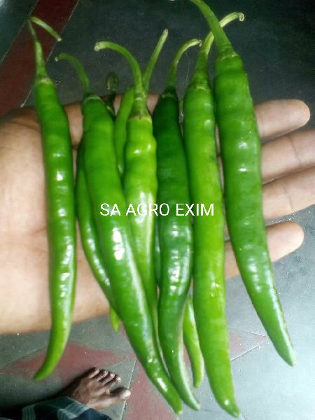 INDIAN GREEN CHILLIES