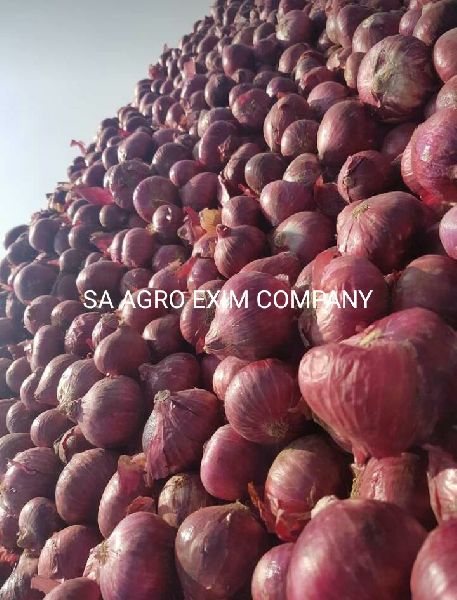  RED ONIONS WELL DRIED