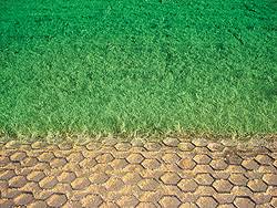pvc grass pavers