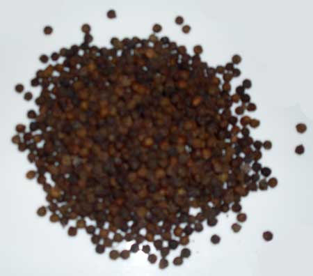 black pepper seeds