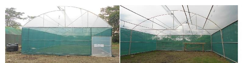 Steel Green House, Feature : Easily Assembled