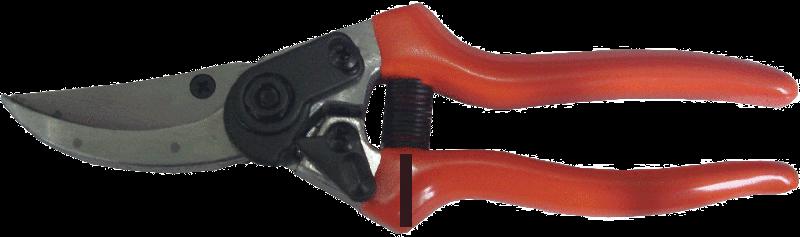 Pruning Shear