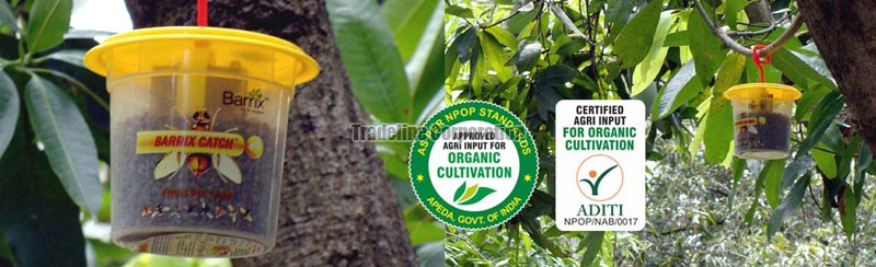 barrix fruit fly trap 1726948