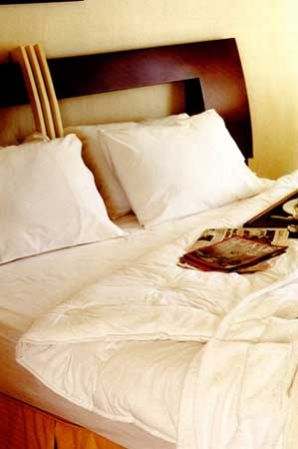 Duvet and Duvet Covers - 01