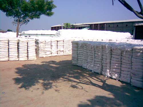 Cotton Bales