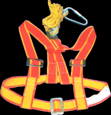 Safety Harness (Class D)