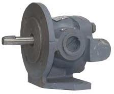 Rotary Gear Pump 02