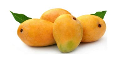 Fresh Mango,fresh mango