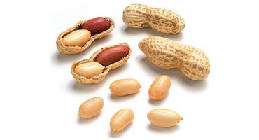 groundnuts