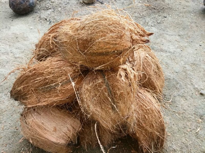 Semi husked coconut, Color : light brown, dark brown
