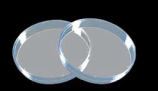 Plastic Petri Plate, Color : Transparent