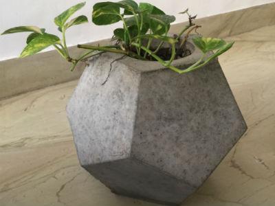 cement flower pots