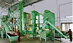 Turmeric processing plant