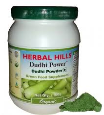 Dudhi powder