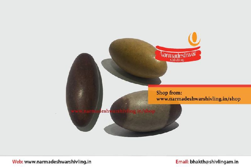 Pure narmadeshwar shivling