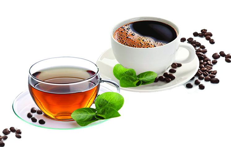Tea & Coffee by celebration india, Green Tea Leaves, INR 250 / Kilogram ( Approx ) | ID - 3525705