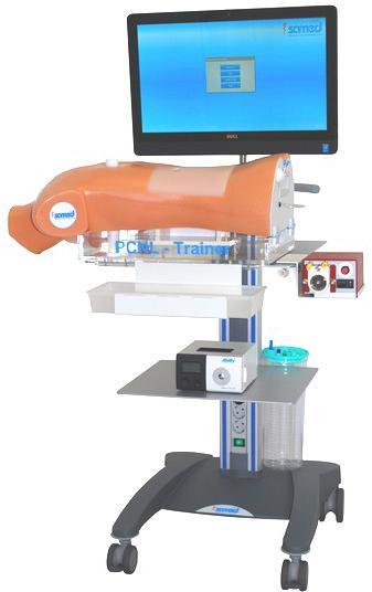 PCNL Trainer System