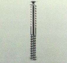 Fully Threaded Cancellous Screws
