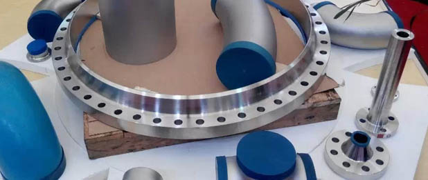 Weld Neck Flanges