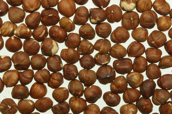 Macadamia Nuts Brown