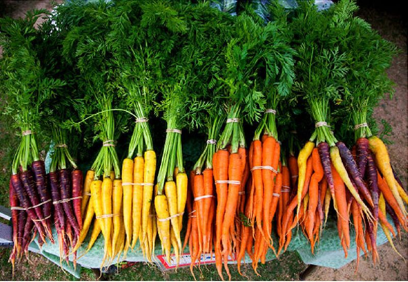 Organic Fresh Carrot