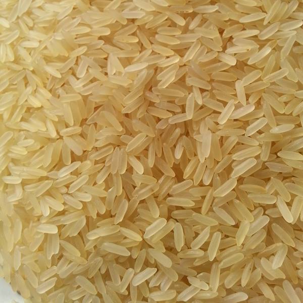 Organic IR Rice, Color : Golden