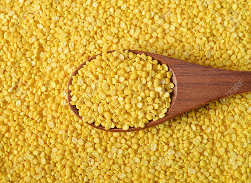 Organic Yellow Moong Dal, Packaging Type : Jute Bags, Plastic Packets, PP Bags
