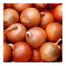 samber onion 5 to 25 mm