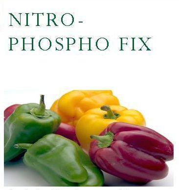 Nitro-Phospho Fix Micro Bio Fertilizer