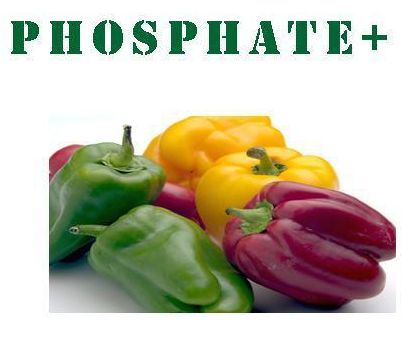 Phosphate+ Micro Bio Fertilizer