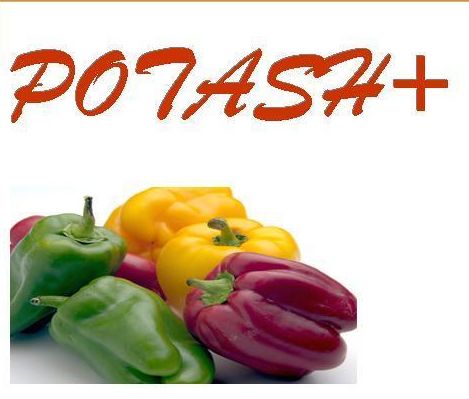 Potash+ Micro Bio Fertilizer