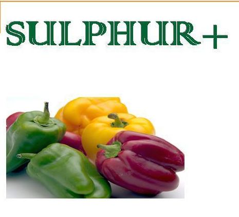 Sulphur+ Micro Bio Fertilizer