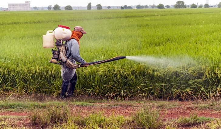 Valley Verti Micro Bio Pesticide