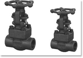 Forged Steel Valve