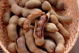 Common Organic Tamarind Pods, Packaging Type : Packet, Plastic Bag