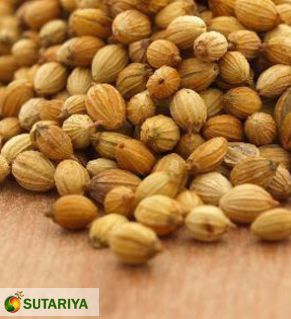 Coriander Seed