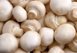 Fresh Button Mushroom, Color : Whit