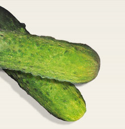 Pickled Cucumber, Color : Olive green in colour, firm crispy.