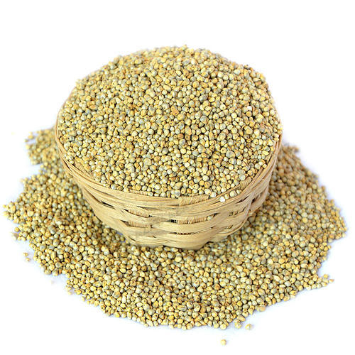 Green Millet Seeds